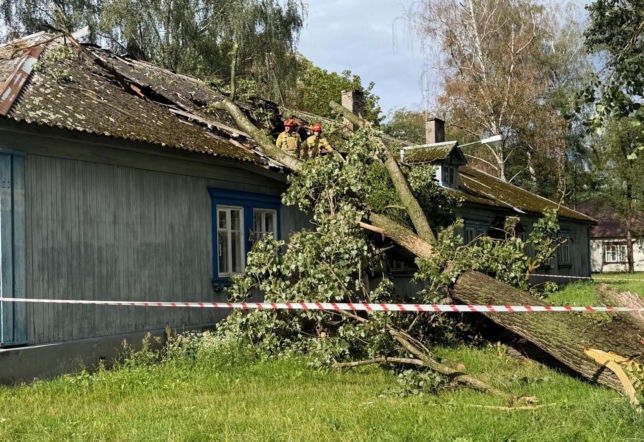 Silny wiatr na warszawskim Bemowie. Ogromna topola uszkodziła dach na Osiedlu Przyjaźń