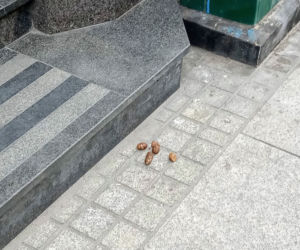 Zniszczenia na ulicy Bogusława