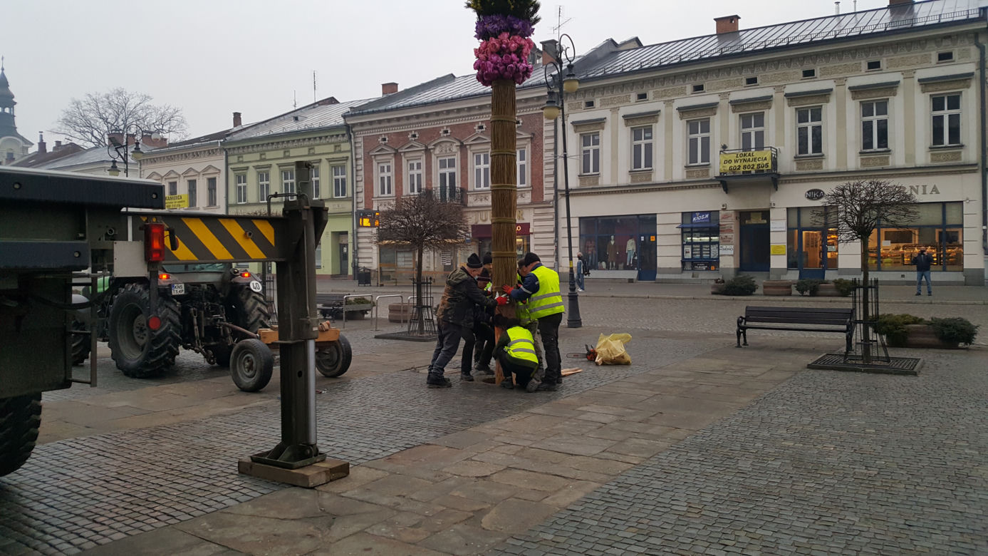 Ogromna palma wielkanocna na nowosądeckim Rynku 