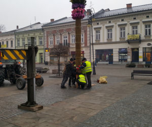 Ogromna palma wielkanocna na nowosądeckim Rynku 