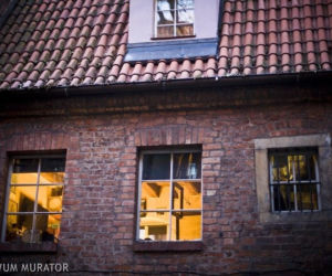 Wyszukane sklepy we Wrocławiu