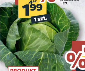 Wielkie promocje w Netto