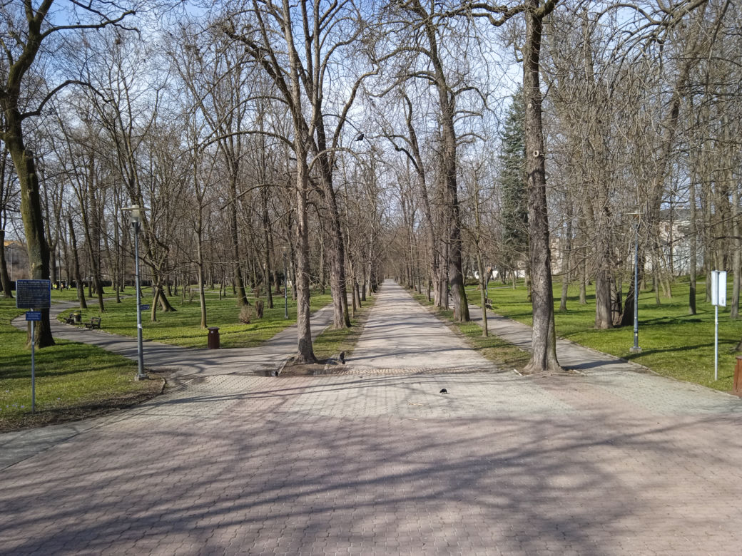 Wiosna w Kielcach. Coraz więcej zieleni i spacerowiczów w parku miejskim