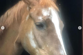 Katarzyna Dowbor, Rodezja