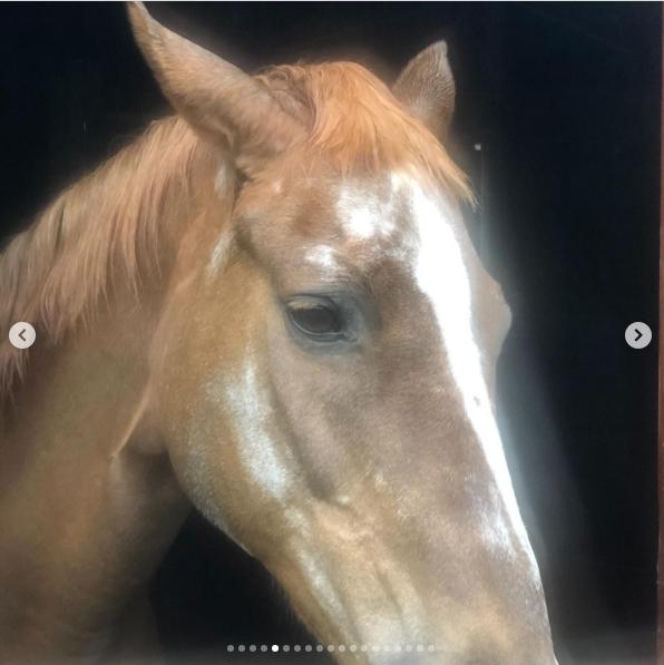 Katarzyna Dowbor, Rodezja