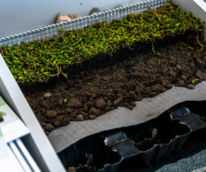 Wszystko o dachu, czyli Dach Forum 2026 na Targach Kielce