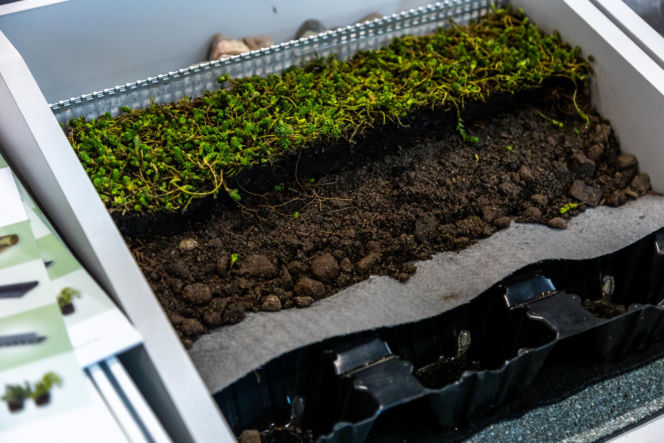 Wszystko o dachu, czyli Dach Forum 2026 na Targach Kielce