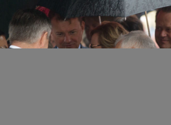 Kaczyński dostał kota
