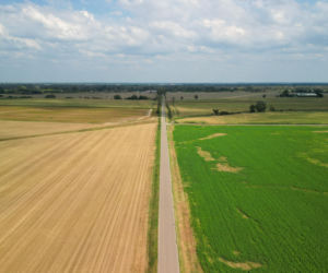 Sanatorium miłości 8