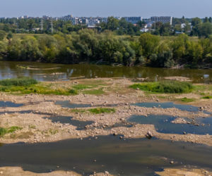 Niski stan wody w Wiśle w Warszawie, 5.08.2026