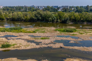 Niski stan wody w Wiśle w Warszawie, 5.08.2026