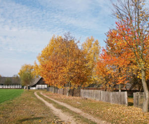 Dziekanowice w Wielkopolsce