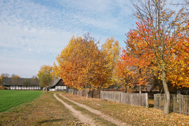 Dziekanowice w Wielkopolsce