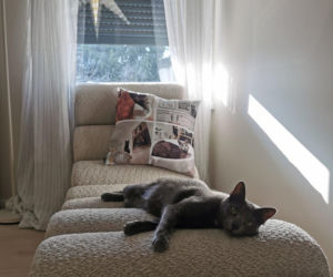 Metamorfoza domu w Zabrzu - bliźniaczki Weronika i Patrycja