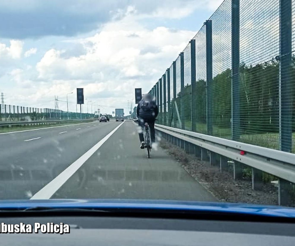 Rowerzysta na ekspresówce