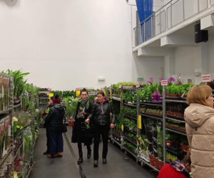 Festiwal Roślin w Enea Arenie