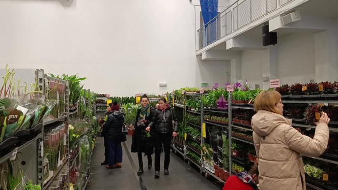 Festiwal Roślin w Enea Arenie