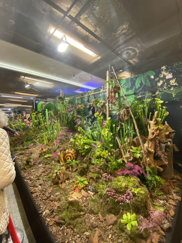 "Potworne Cuda", Światowa Wystawa Orchidei, Bonsai i Sukulentów oraz targi roślin na PGE Narodowym
