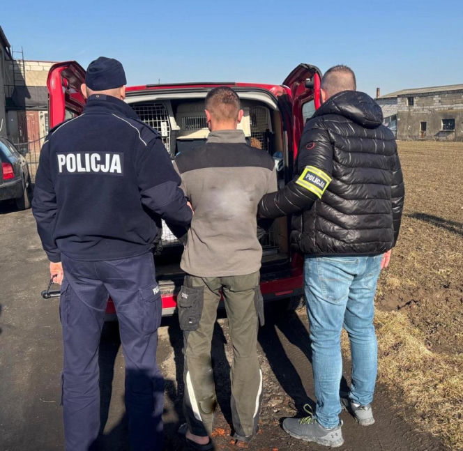 Koniec psiego piekła pod Kcynią. Rodzinny biznes zamienili w fabrykę cierpienia