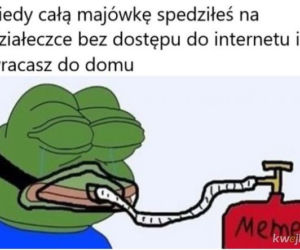 Majwówka 2020 memy