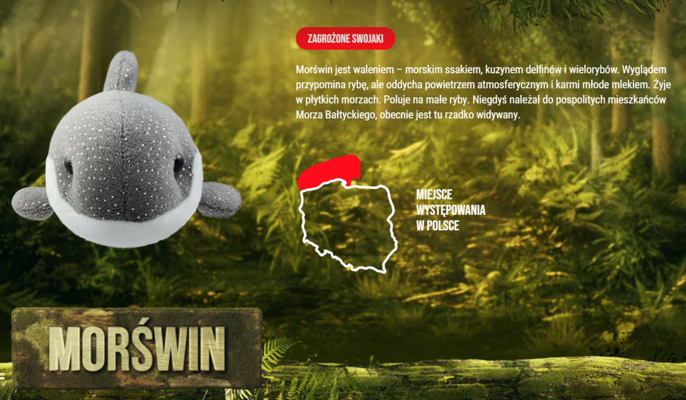 Morświn 