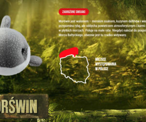 Gang Swojaków 