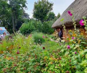 Kujawsko-Pomorskie Święto Plonów
