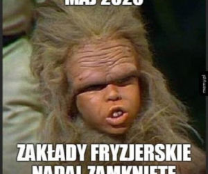 Data otwarcia salonów fryzjerskich. Zobacz najzabawniejsze memy!