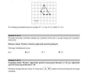 Egzamin ósmoklasisty 2019. Sprawdź przykładowe arkusze. Matematyka