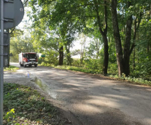Leśny Front. Największe ćwiczenia strażaków od lat w powiecie łomżyńskim