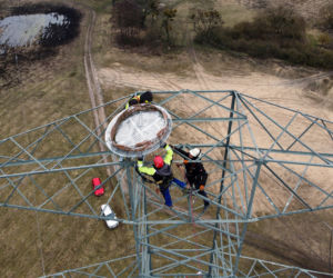 Montaż platformy lęgowej dla rybołowów w Nadleśnictwie Kliniska w okolicach miejscowości Inoujście 
