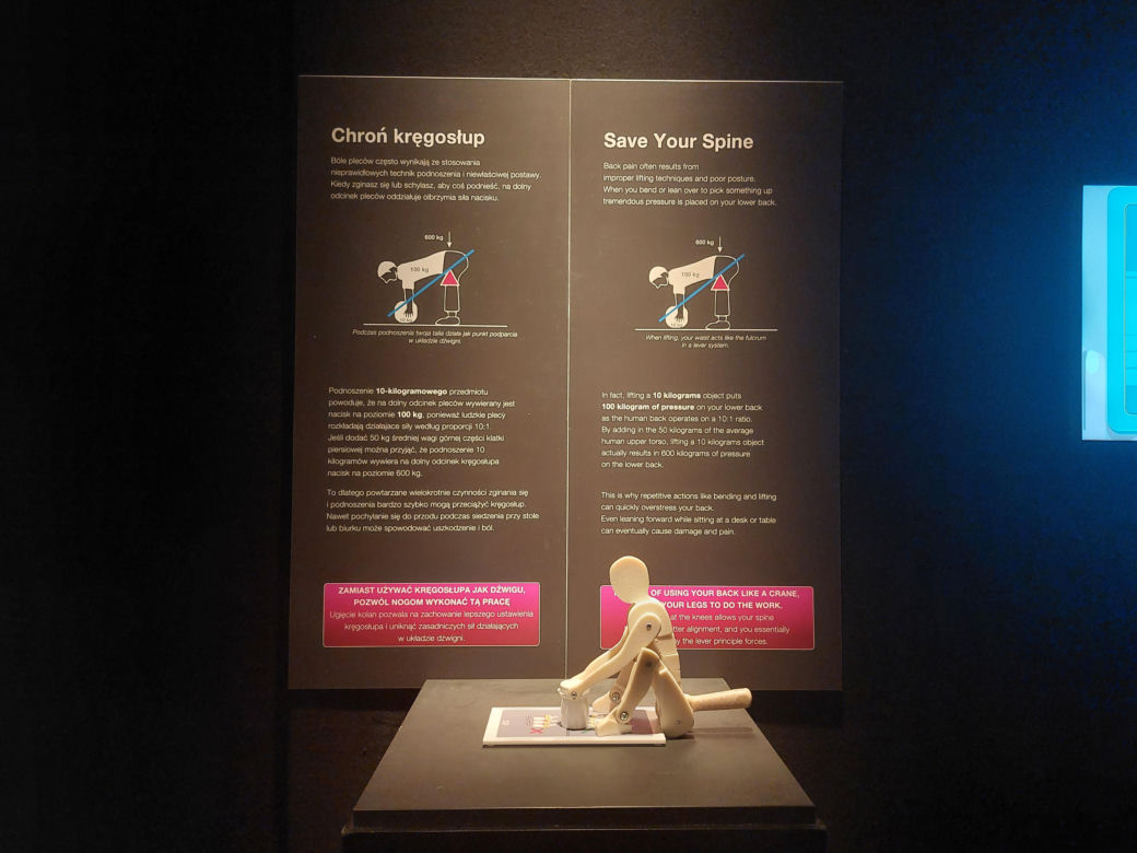 Wystawa Body Worlds w Szybie Wilson w Katowicach
