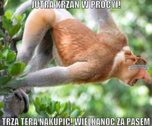 Black Friday memy