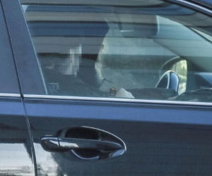 Małgorzata Potocka na randce przyjacielem