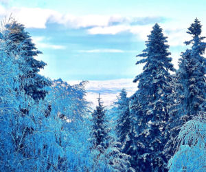 Świętokrzyska Łysica