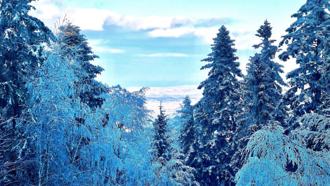 Świętokrzyska Łysica