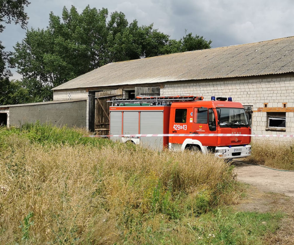 Przyczepa zabiła mężczyznę! Tragiczny wypadek koło Gniezna