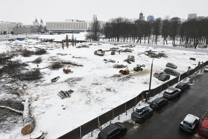 Rzeź drzew w parku w centrum Warszawy. Przygnębiający widok przed odbudową Pałacu Saskiego