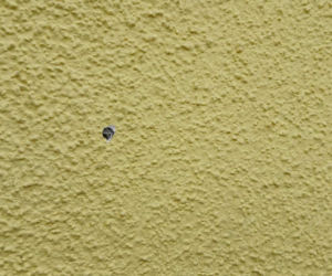 Policja prowadzi postępowanie, a rodzice i dyrekcja placówki nie kryją niepokoju