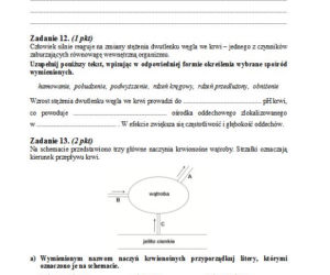 Matura 2013 biologia p. podstawowy