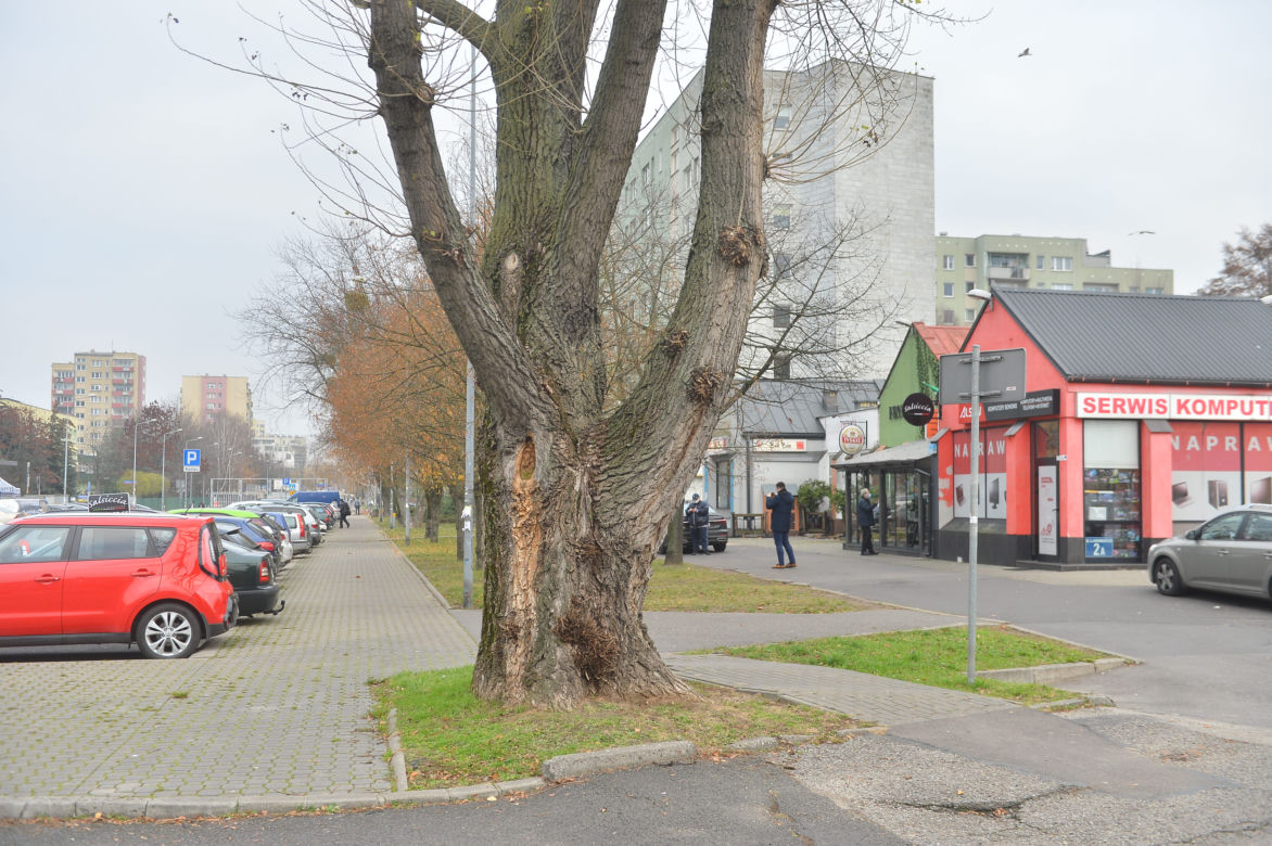 Napadli z bronią na właściciela pizzerii
