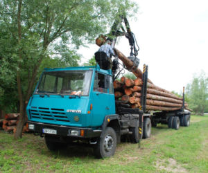 Inn Vivo - ekologiczny dom koło Szczecina