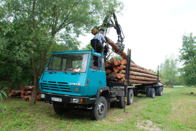Inn Vivo - budowa ekologicznego domu z zielonym dachem
