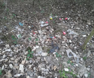 Śmieci w lasach - Siedlce