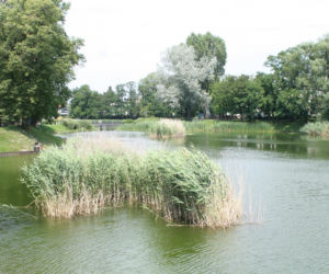 Plaże w Warszawie