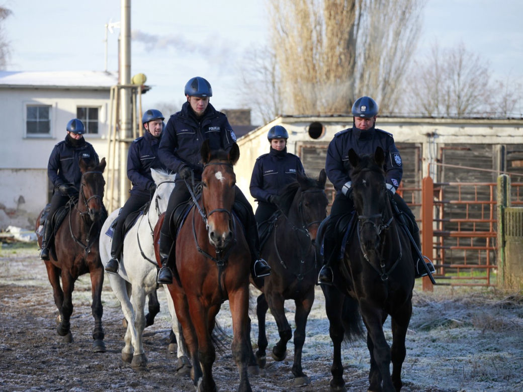 Policja konna z Poznania ma nowego współpracownika