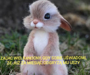 Memy Wielkanoc 2020