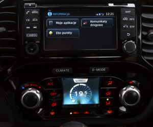Nissan Juke pierwszej generacji 