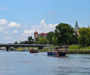 Wyłowił z Wisły takiego POTWORA