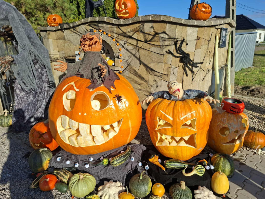 U Łukasza z Pawłowa hasło "cukierek albo psikus" nabiera innego wymiaru. Najbardziej halloweenowy dom świętokrzyskiego